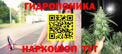 шишки Мариинск