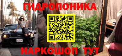 шишки Мариинск