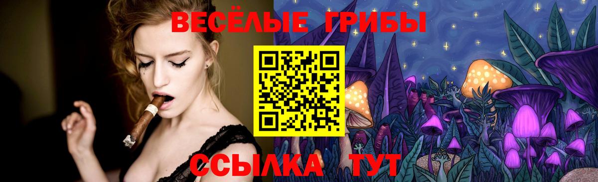 Псилоцибиновые грибы мухоморы  Галлюциногенные грибы мицелий  Вход с VPN  наркота  Пятигорск 