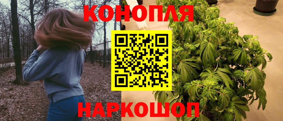 Шишки марихуана Ganja  Бошки марихуана семена  Бошки Шишки конопля  Конопля ГИДРОПОН  Пятигорск  Вход с VPN 